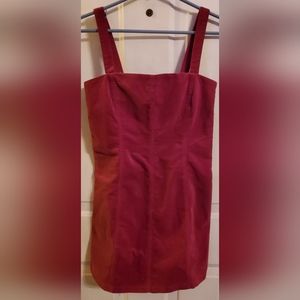 Forever 21 Women's Magenta Mini Dress, size small